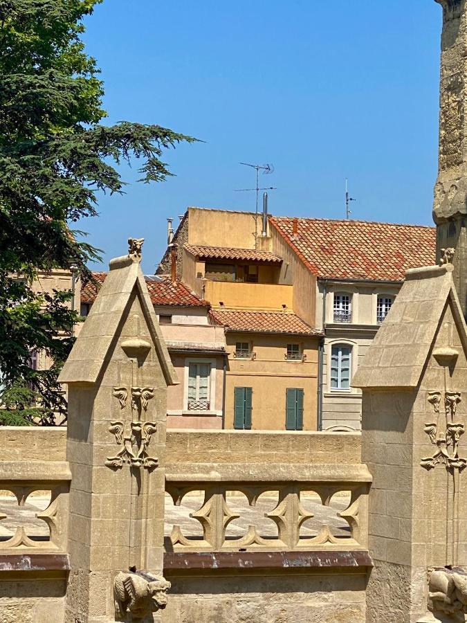 Tresors De La Cathedrale, Maison De Ville Sur 4 Niveaux Нарбонна Экстерьер фото